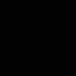 Meet your Posher, Angelina